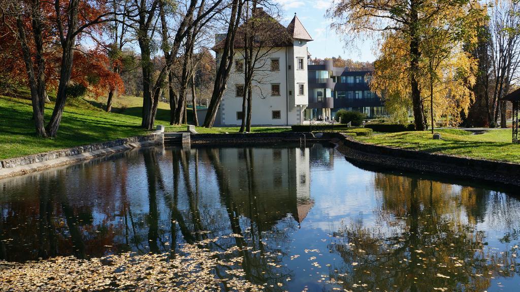 Lambergh Chateau & Hotel Dvorska Vas Exterior foto